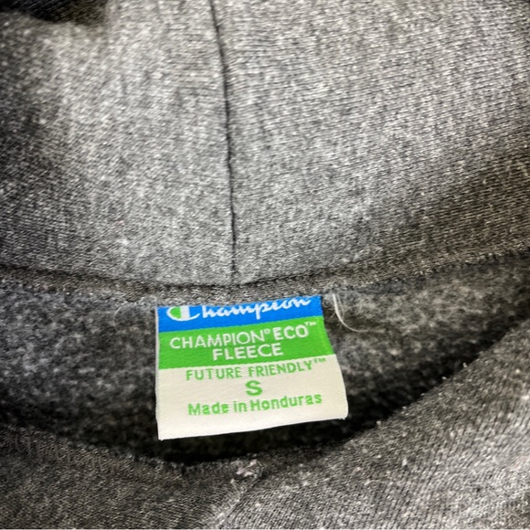 University Akron Zips Roo Gray Size Small Hoodie Sweatshirt Champion Brand - Picture 3 of 10